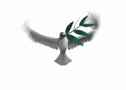 auguri